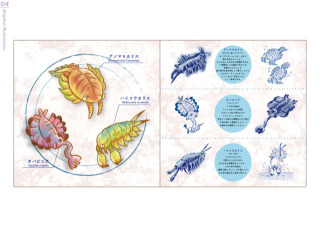 オリジナルイラスト集「カンブリアンモンスター図鑑」