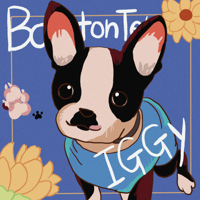 ペットイラスト