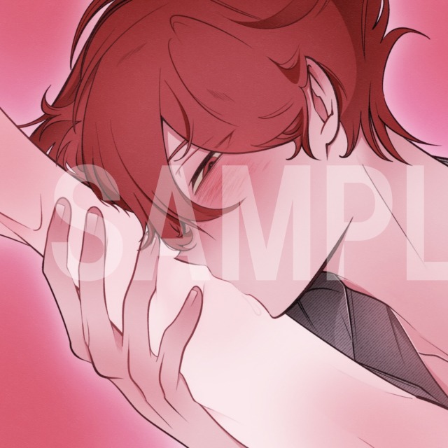 過去ご依頼内容