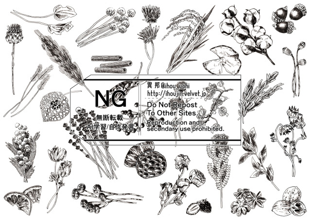 ドライフラワーのペン画