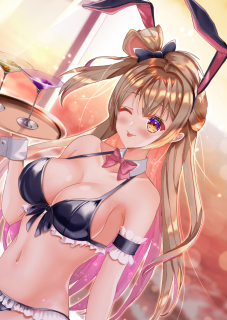 ことりと水着バニーと夕焼けと