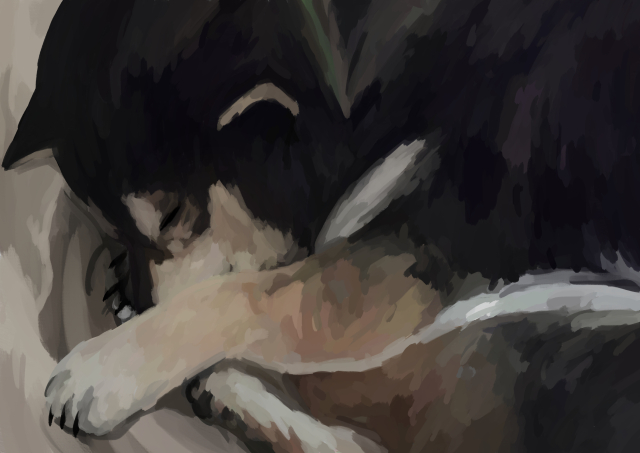 犬もこたつで丸くなる