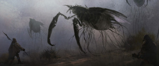 Parasitic insect | 寄生蟲