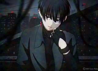 一枚絵参考価格②