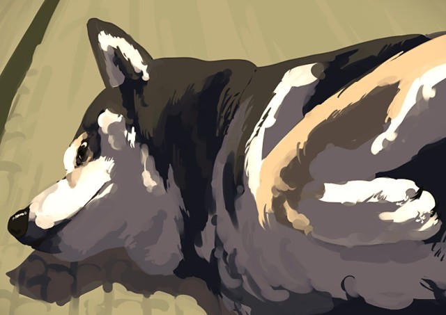 和室に落ちてる犬