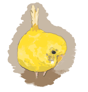 リアルタッチ（セキセイインコ）