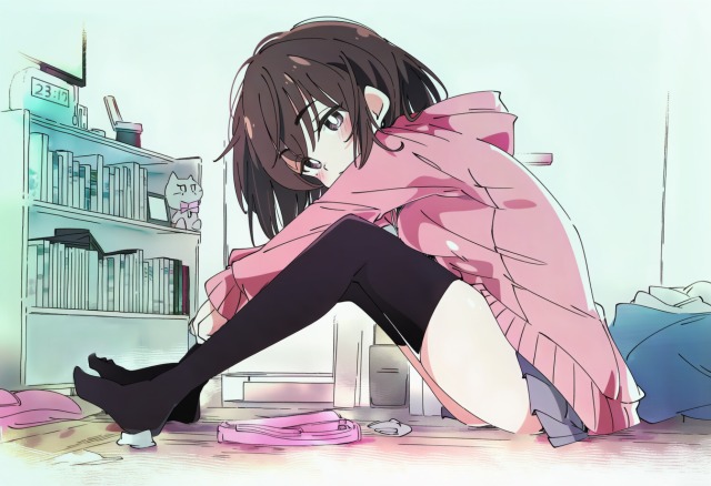 掃除いやでござる