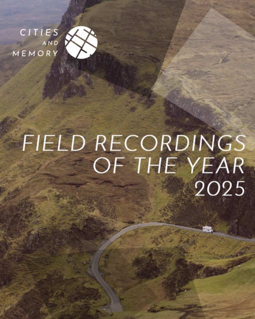 Schlegel's green tree frog