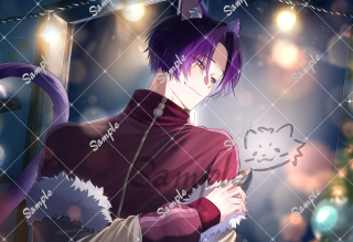 スチル作品一覧