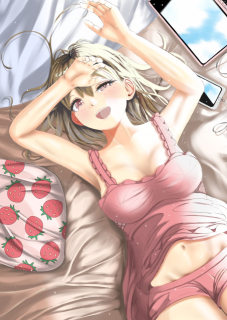 厚塗り　一枚絵