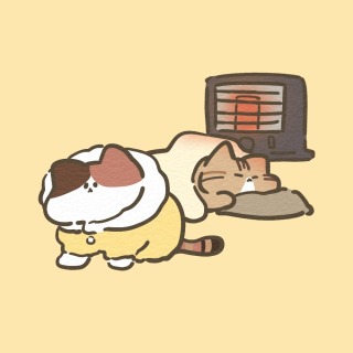 もちりねこ参考イラスト