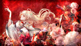 土野のの 様　『蝶』