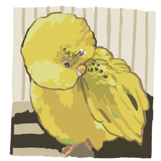 リアルタッチ（セキセイインコ）