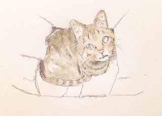 動物イラスト