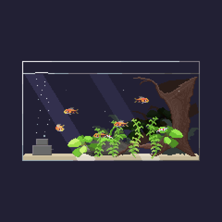 【三角構図水槽モデル】ラスボラ・エスペイ水槽