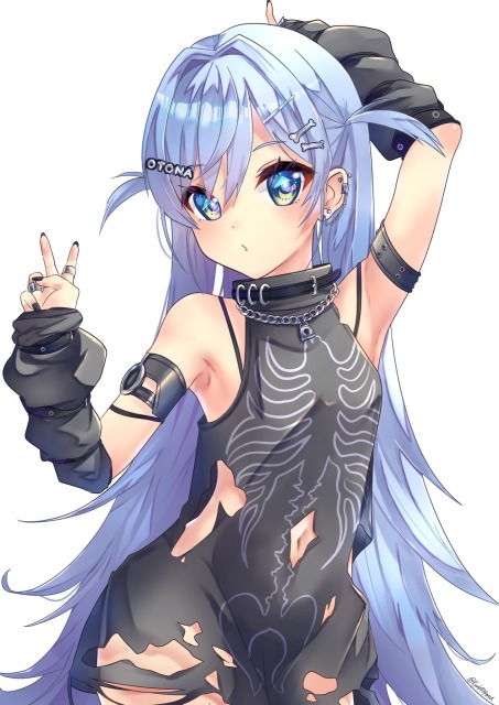1枚絵