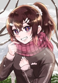 1枚絵