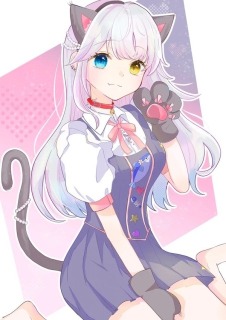 猫な日