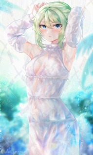 一枚絵