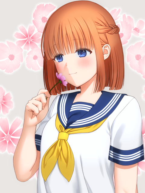 コスモス少女