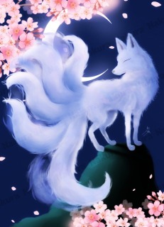 🦊