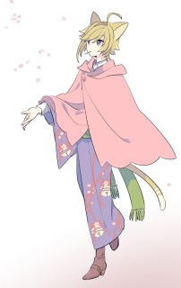 着物猫
