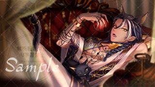 一枚絵