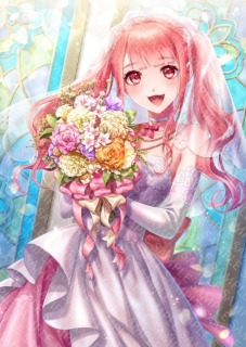 仕事絵 一枚絵