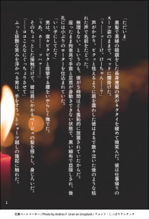 BL小説サンプル③