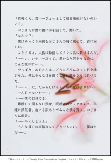 BL小説サンプル⑤