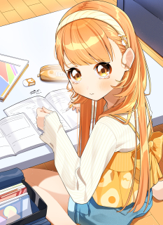 一枚絵　縦長