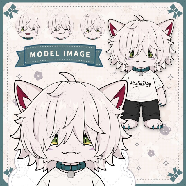 MODEL IMAGE