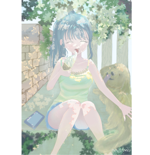 木漏れ日ソフト