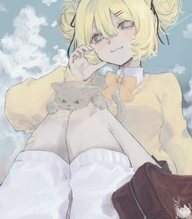 1枚絵