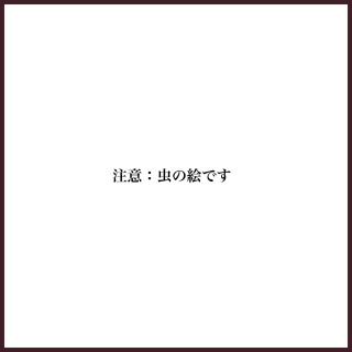 ポートフォリオ：虫