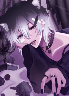一枚絵