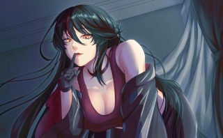一枚絵