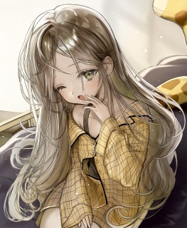 ✴︎一枚絵実績✴︎