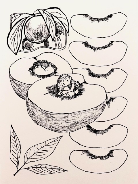 桃のコンポジション