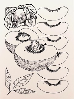 桃のコンポジション