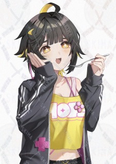 一枚絵