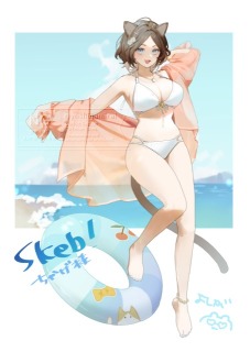 skeb