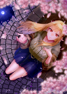 一枚絵