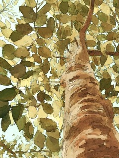 A Tree