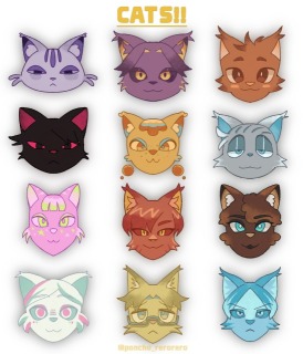 CATs!!