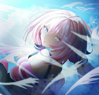 MV風