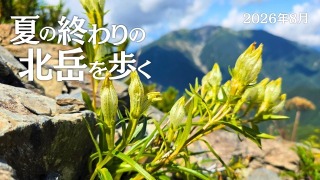 Youtube用動画の構成・制作担当