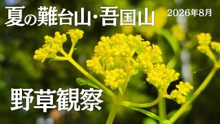 Youtube用動画の構成・制作担当