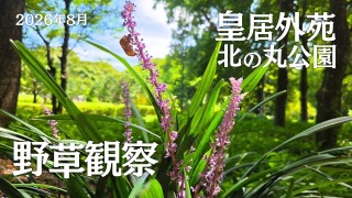Youtube用動画の構成・制作担当
