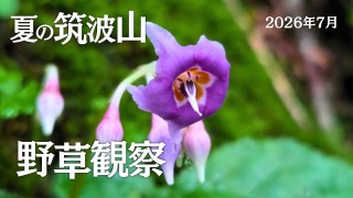 Youtube用動画の構成・制作担当